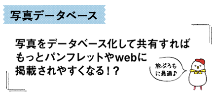 写真データベース-写真をデータベース化して共有すればもっとパンフレットやwebに掲載されやすくなる！？